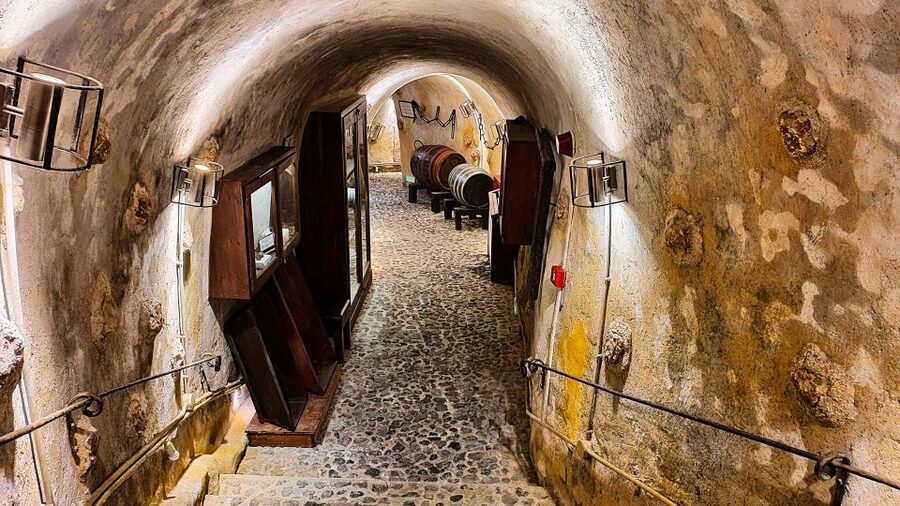 Santorini Visit Cave Wine museum and Wine tasting - Who will get the most from this visit