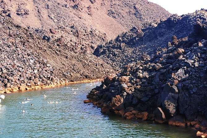 Santorini Volcanic Islands Cruise: Volcano, Hot Springs and Thirassia - The boat, the guide, and the group atmosphere