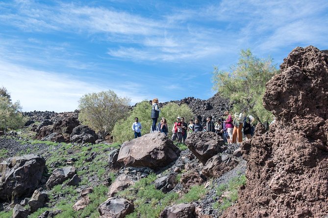 Santorini Volcano Half Day Tour - Who should book this cruise