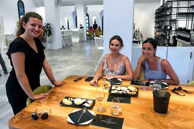 Santorini Wine and Food Experience with pick up included - Is $230.48 a fair price?