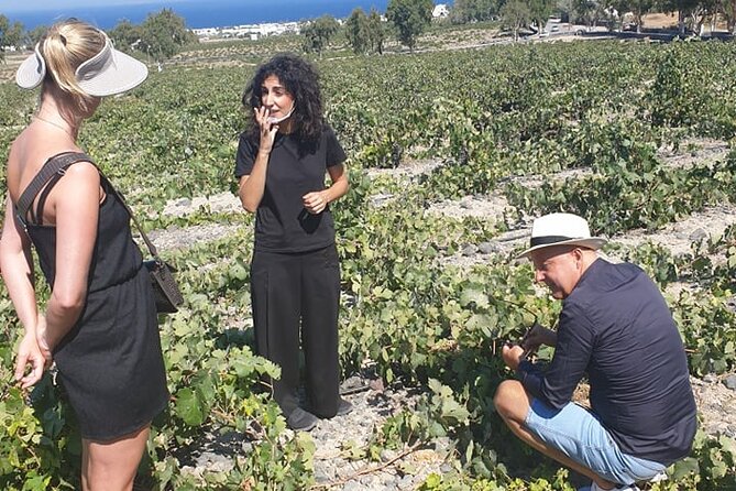 Santorini Wine Secrets - How the price compares with the experience