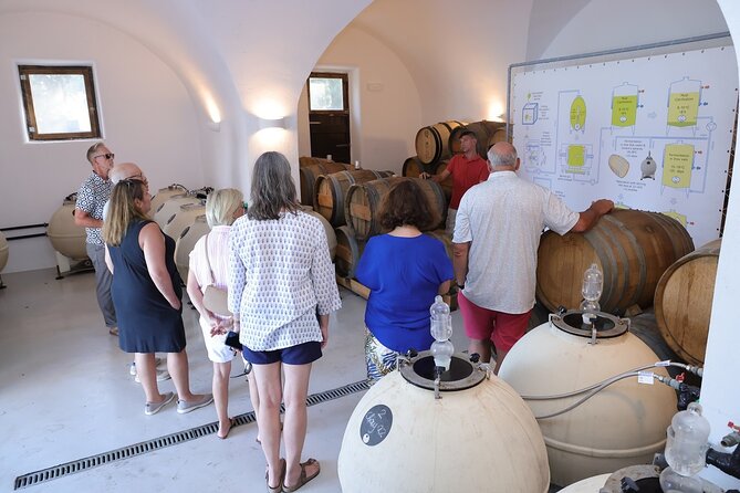 Santorini Wine Stories: Daytime Tour with Tasting & Lunch - Who should book this Santorini wine tour?
