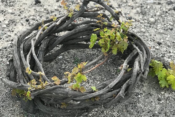 Santorini wine tasting and Traditional Cave Settlement Tour - The winery stop and Santorini’s volcanic wines