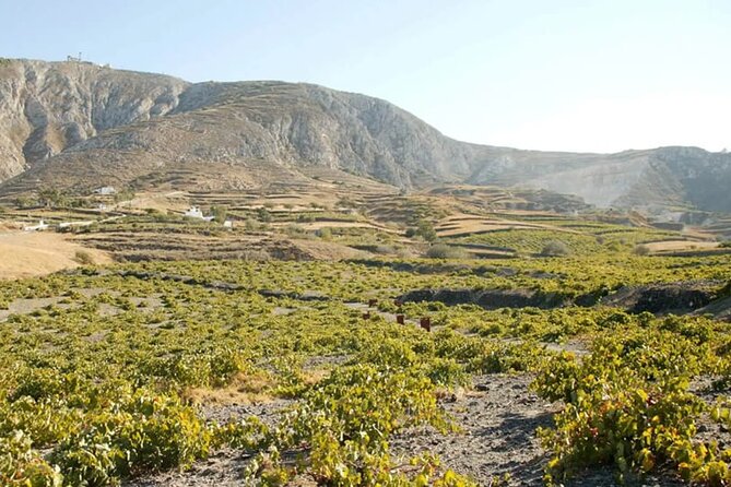 Santorini Wine Tasting: Day or Sunset Private Tour - What the private format changes