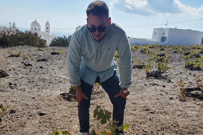 Santorini Wine Tasting: Day or Sunset Private Tour - Is $355.21 per person a fair price?