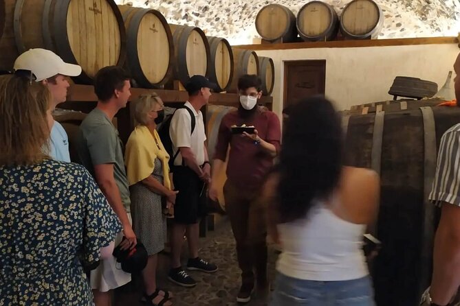 Santorini Wine Tasting: Day or Sunset Private Tour - Megalochori shows the island’s unusual vines