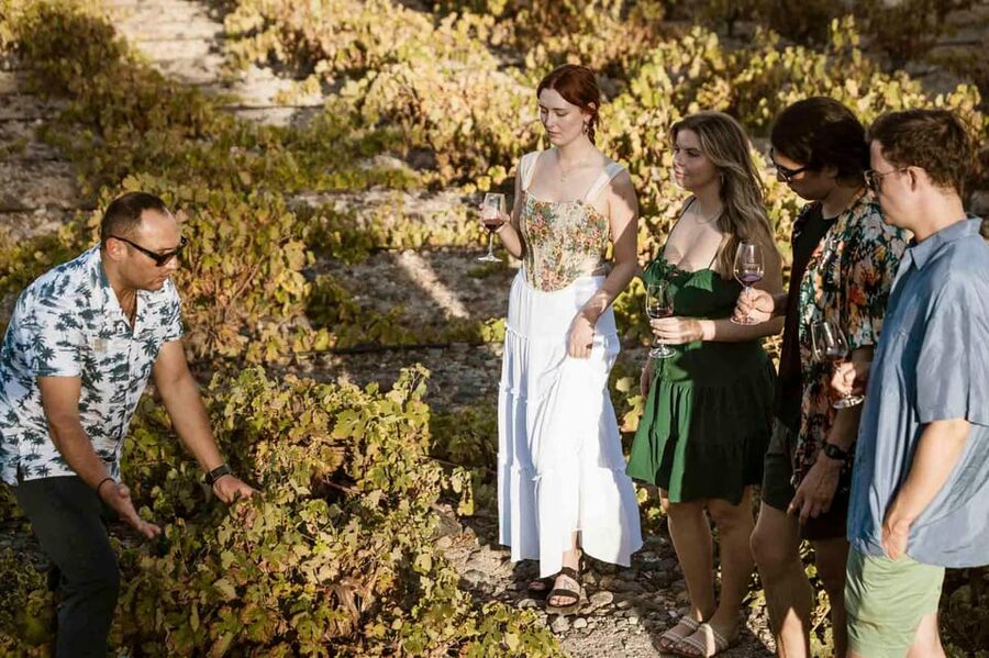 Santorini: Wine Tasting Tour with Snacks - The first stop: Estate Argyros and Santorini’s basket vines