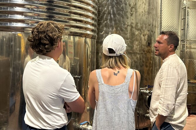 Santorini Wine Tour: 2 Wineries with Tastings & Local Snacks - Why Santorini wine tastes so different