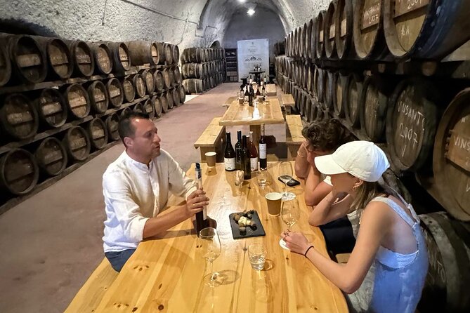 Santorini Wine Tour: 2 Wineries with Tastings & Local Snacks - Who should book this three-hour tour?