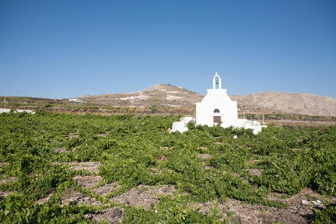 Santorini Wine Tour: Taste 12 best wines & 3 beers with pairings - Anhydrous Winery: modern ideas with old techniques
