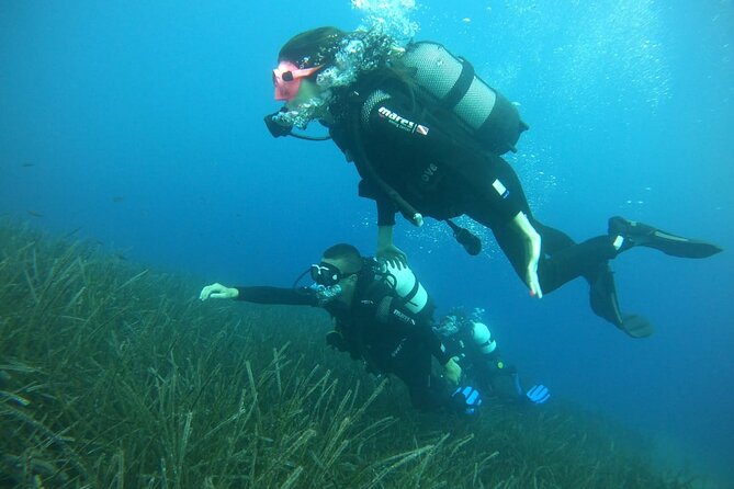 Scuba Diving Experience in Santorini - Is the $106.64 price good value?