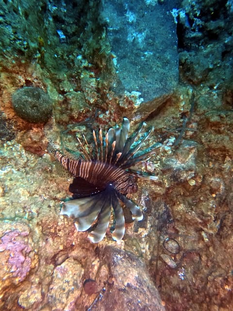 Scuba Diving in the Volcanic Caldera/shorelines of Santorini - Practical packing advice for a wet morning