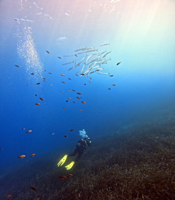 Scuba Diving in the Volcanic Caldera/shorelines of Santorini - Two guided sessions for certified divers