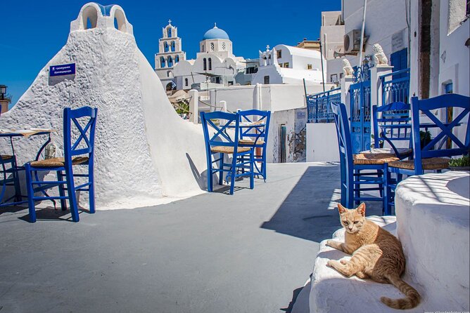 Shore Excursion for Cruise Passengers 4 Hours Private Tour - Oia, with one hour for the famous village