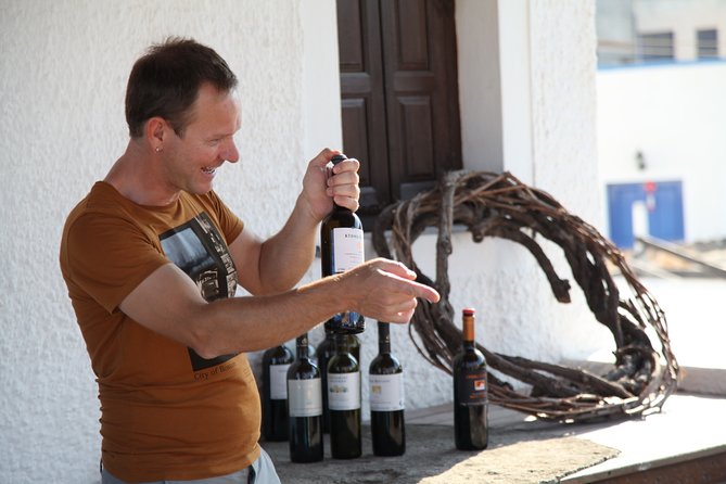Small-Group Greek Food and Wine Tasting Tour in Santorini - Who will enjoy this Santorini wine tour