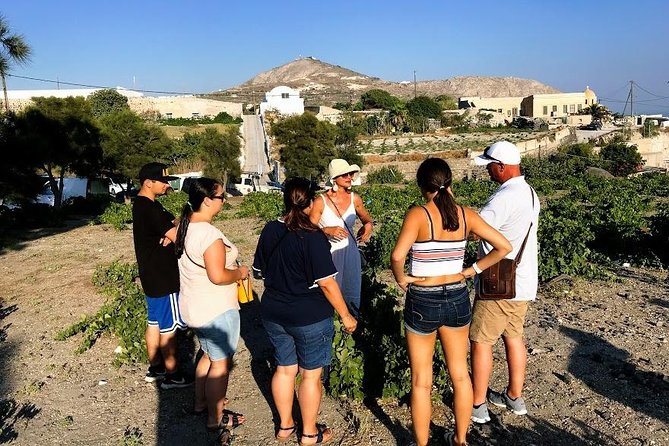 Top Santorini Attractions Highlights Day Tour with Host - What the $334.21 price really buys