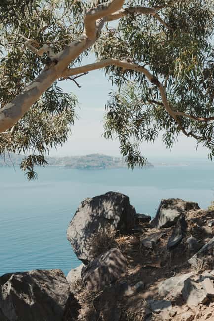 Unique 3-Hour Tour of Santorini for Cruise Ship Passengers - Is $89 per person good value?